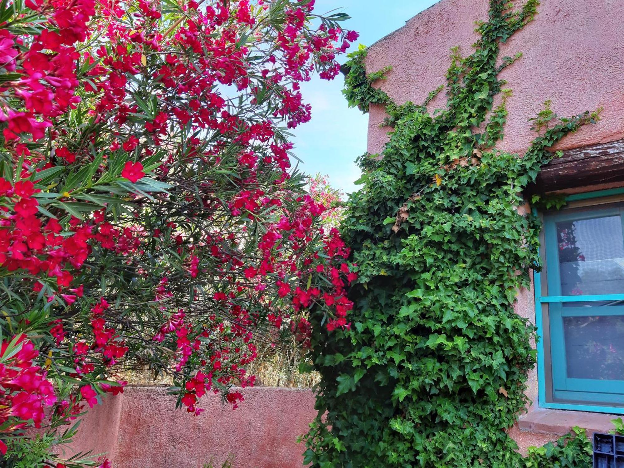 Agriturismo Agrisole Olbia Exterior photo